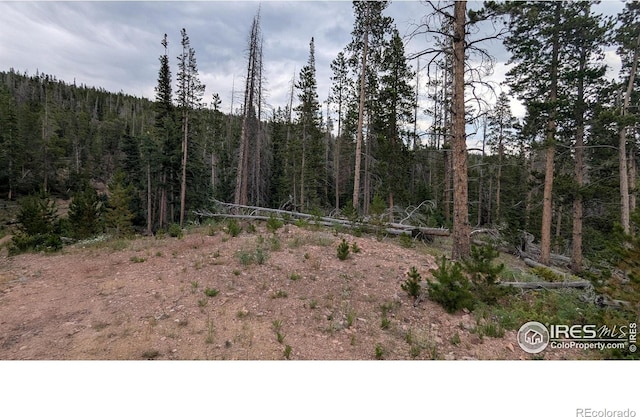 Pearl Creek Rd, Red Feather Lakes, CO 80545 - photo 8