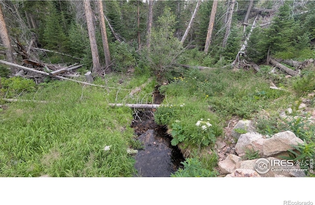 Pearl Creek Rd, Red Feather Lakes, CO 80545 - photo 11