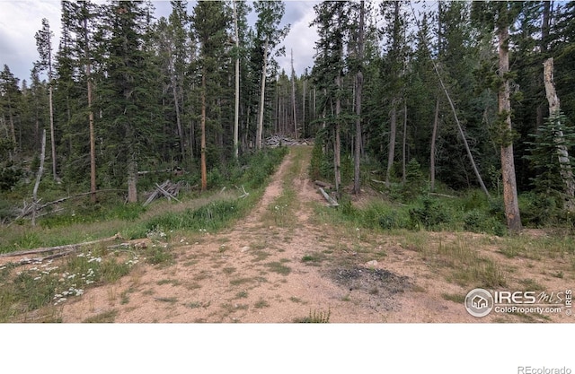 Pearl Creek Rd, Red Feather Lakes, CO 80545 - photo 12