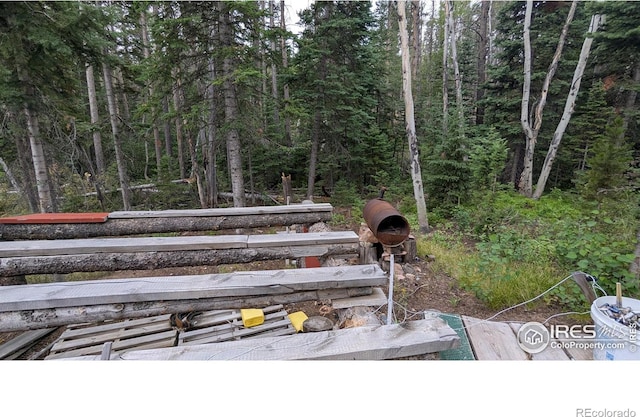 Pearl Creek Rd, Red Feather Lakes, CO 80545 - photo 13