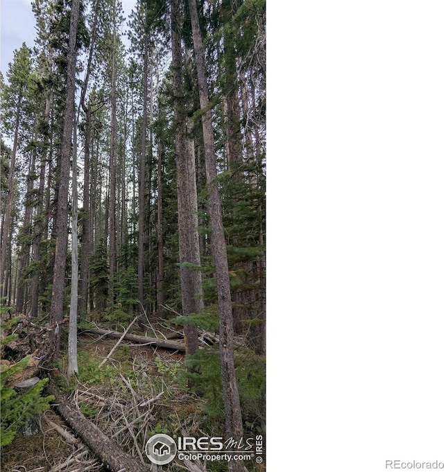 Pearl Creek Rd, Red Feather Lakes, CO 80545 - photo 14