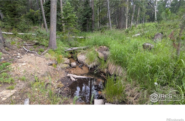Pearl Creek Rd, Red Feather Lakes, CO 80545 - photo 15