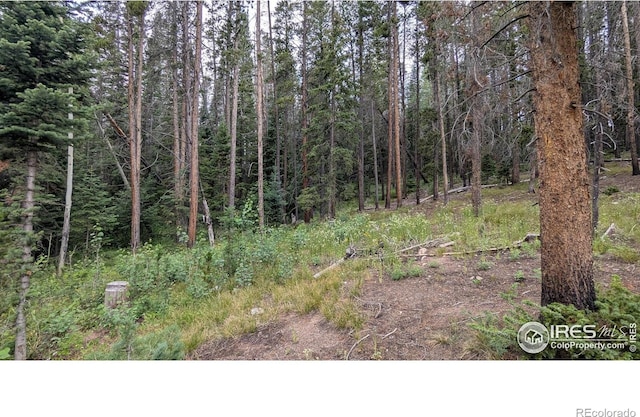 Pearl Creek Rd, Red Feather Lakes, CO 80545 - photo 16