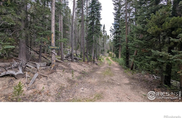Pearl Creek Rd, Red Feather Lakes, CO 80545 - photo 17