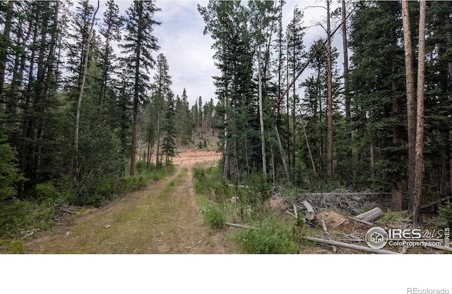 Pearl Creek Rd, Red Feather Lakes, CO 80545 - photo 18
