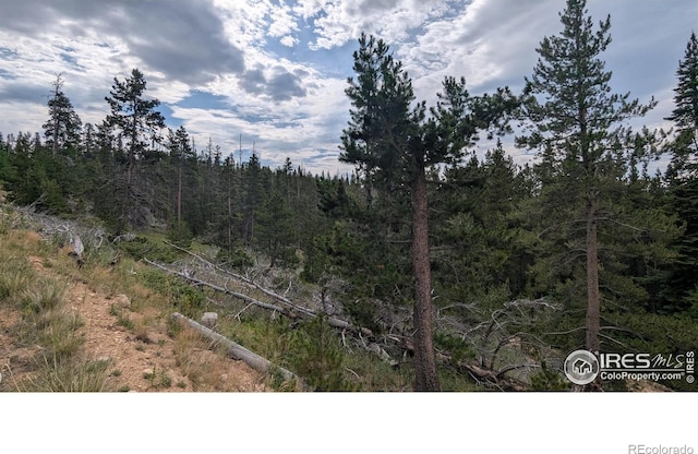 Pearl Creek Rd, Red Feather Lakes, CO 80545 - photo 1