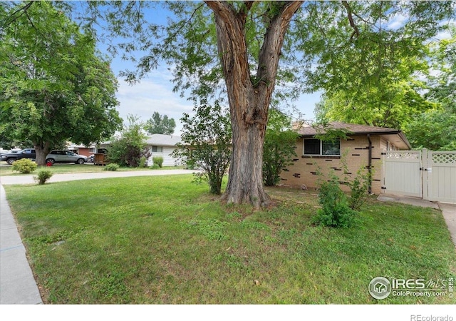806 E Kelly Dr, Loveland, CO 80537 - photo 3