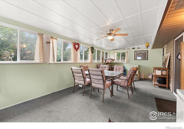 806 E Kelly Dr, Loveland, CO 80537 - photo 17