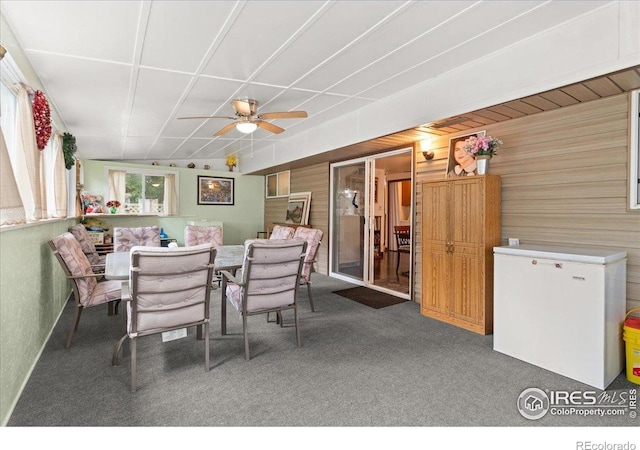 806 E Kelly Dr, Loveland, CO 80537 - photo 18