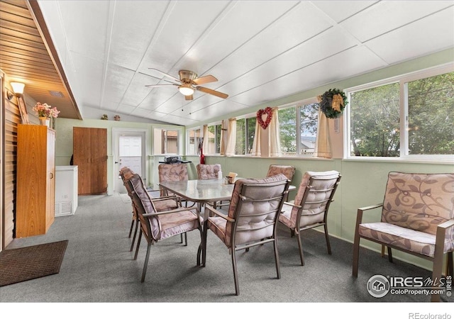 806 E Kelly Dr, Loveland, CO 80537 - photo 19