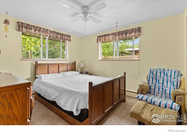 806 E Kelly Dr, Loveland, CO 80537 - photo 20