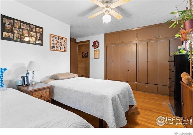 806 E Kelly Dr, Loveland, CO 80537 - photo 23