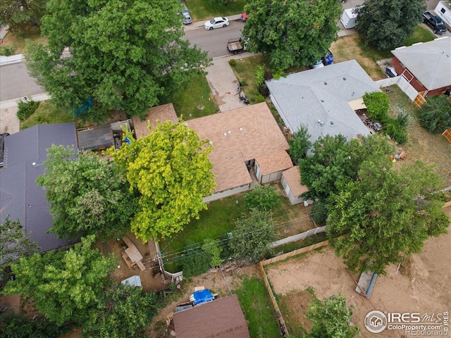 806 E Kelly Dr, Loveland, CO 80537 - photo 32