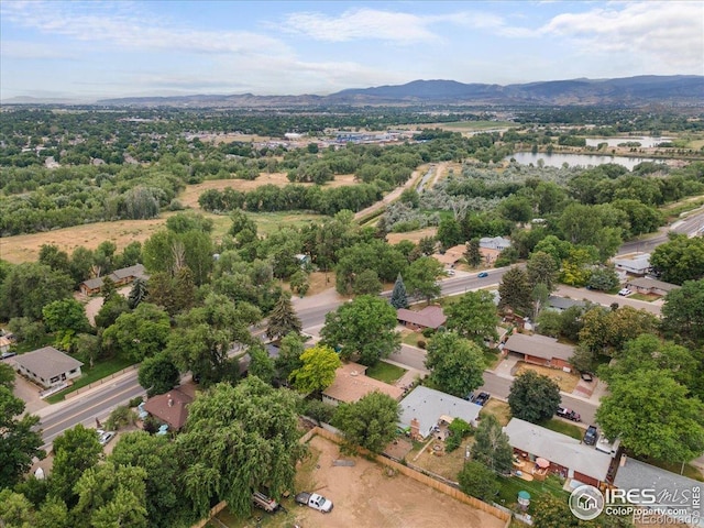 806 E Kelly Dr, Loveland, CO 80537 - photo 35