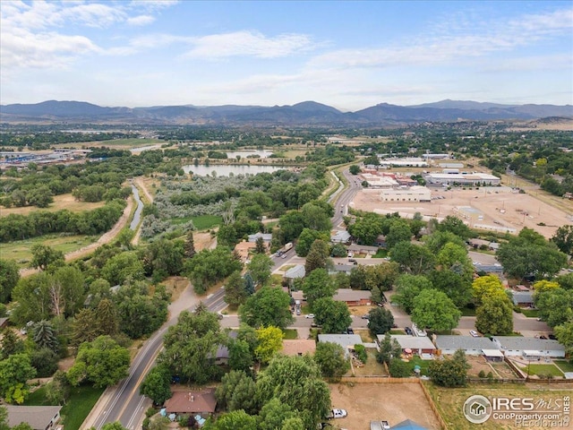 806 E Kelly Dr, Loveland, CO 80537 - photo 36
