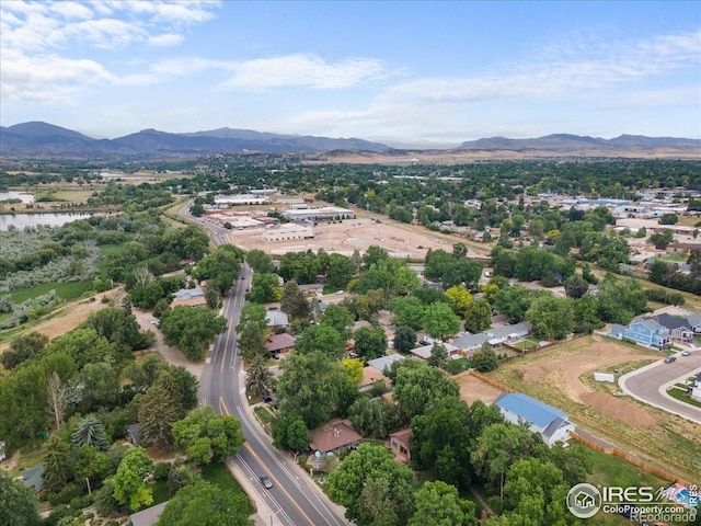 806 E Kelly Dr, Loveland, CO 80537 - photo 37
