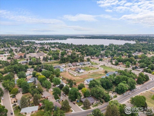 806 E Kelly Dr, Loveland, CO 80537 - photo 38