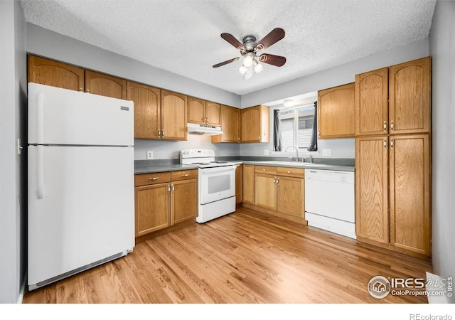 1684 Riverside Ave Unit 12, Fort Collins, CO 80525 - photo 7
