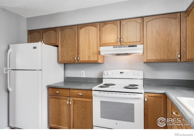 1684 Riverside Ave Unit 12, Fort Collins, CO 80525 - photo 9