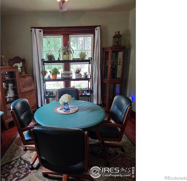 914 N Carson St, Brush, CO 80723 - photo 5