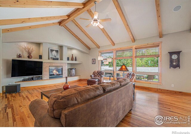 1987 Seadrift Dr, Windsor, CO 80550 - photo 3