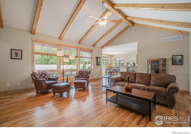 1987 Seadrift Dr, Windsor, CO 80550 - photo 5