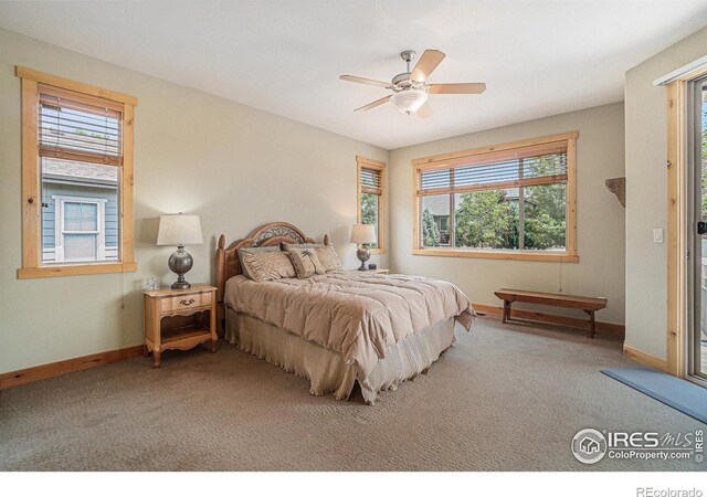 1987 Seadrift Dr, Windsor, CO 80550 - photo 10