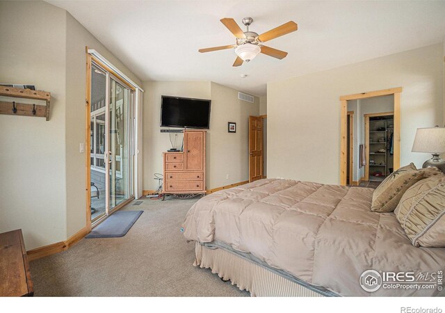 1987 Seadrift Dr, Windsor, CO 80550 - photo 11