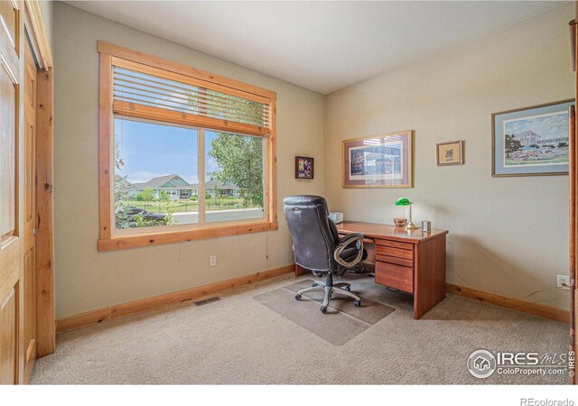 1987 Seadrift Dr, Windsor, CO 80550 - photo 15