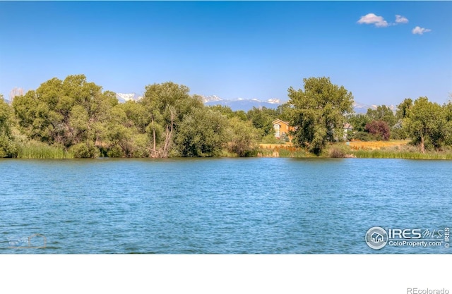 561 Homestead St, Lafayette, CO 80026 - photo 38