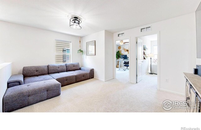 6973 Isabell Ct Unit B, Arvada, CO 80007 - photo 15
