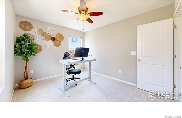 6973 Isabell Ct Unit B, Arvada, CO 80007 - photo 22