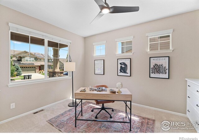 6097 Story Rd, Timnath, CO 80547 - photo 4