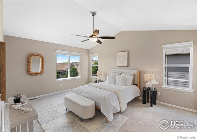 6097 Story Rd, Timnath, CO 80547 - photo 15