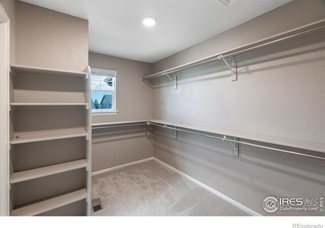 6097 Story Rd, Timnath, CO 80547 - photo 19