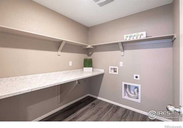 6097 Story Rd, Timnath, CO 80547 - photo 23