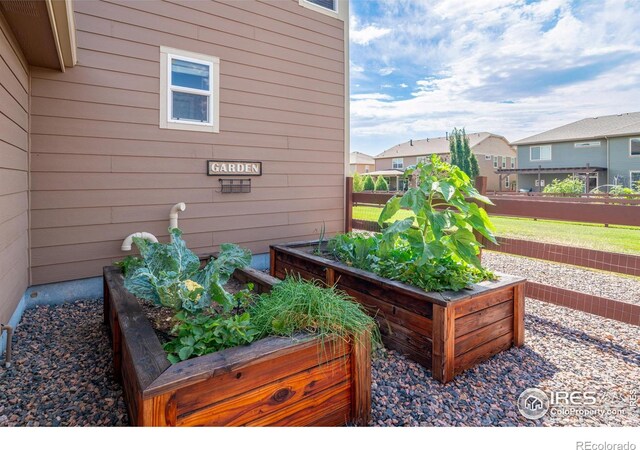 6097 Story Rd, Timnath, CO 80547 - photo 35