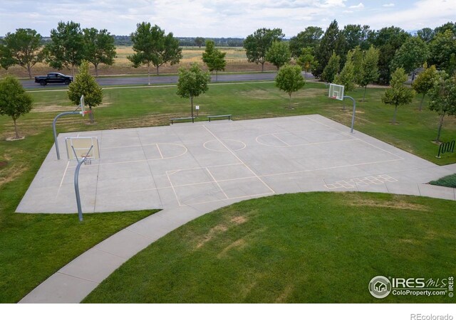 6097 Story Rd, Timnath, CO 80547 - photo 39