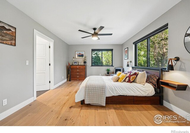 1801 Redwood Ave, Boulder, CO 80304 - photo 28