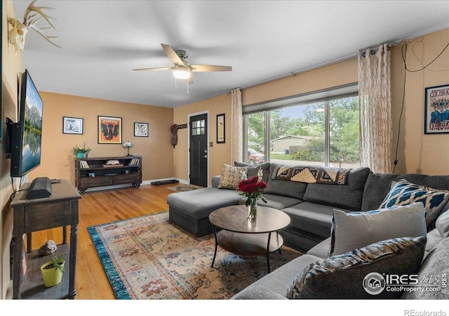 1037 Cypress Dr, Fort Collins, CO 80521 - photo 5