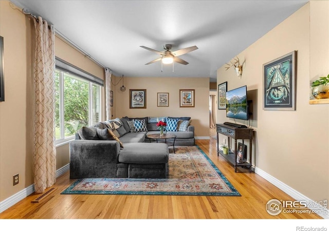 1037 Cypress Dr, Fort Collins, CO 80521 - photo 6