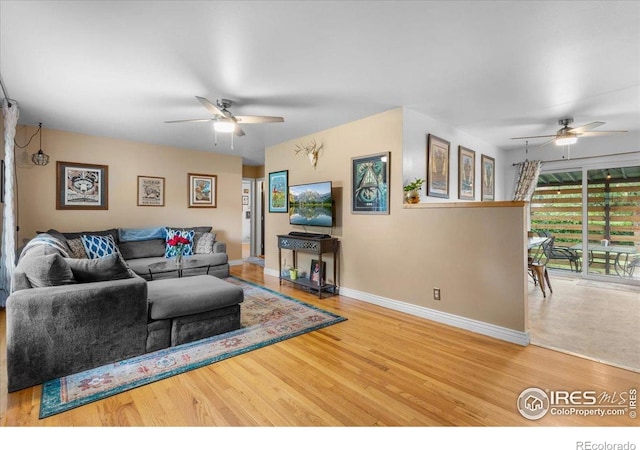1037 Cypress Dr, Fort Collins, CO 80521 - photo 7