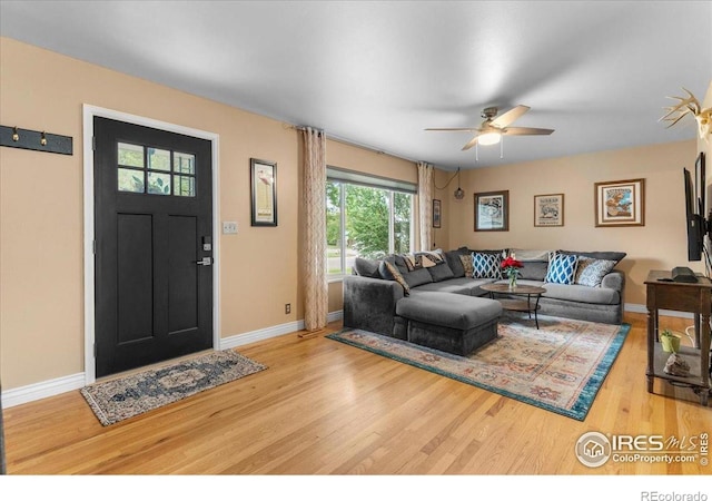 1037 Cypress Dr, Fort Collins, CO 80521 - photo 8