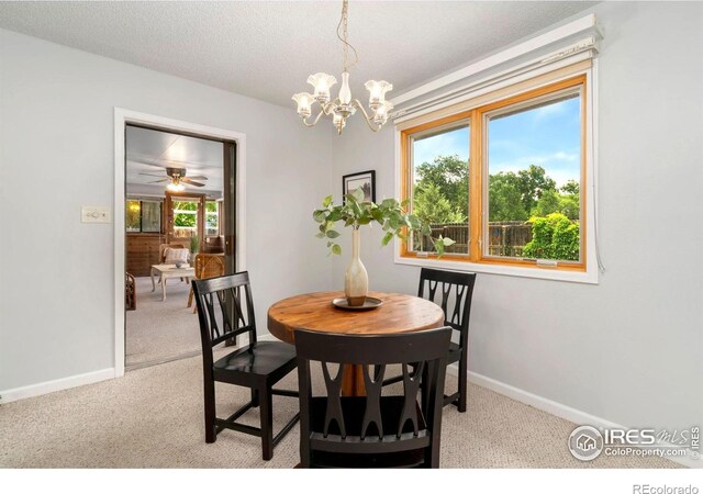 421 Camino Del Mundo Ft, Collins, CO 80524 - photo 8