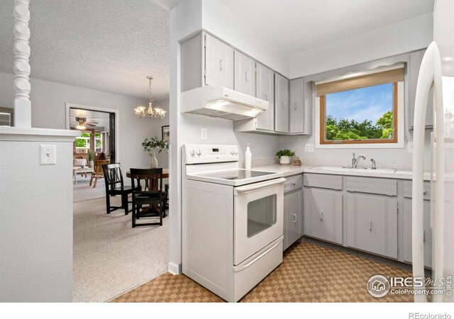 421 Camino Del Mundo Ft, Collins, CO 80524 - photo 11