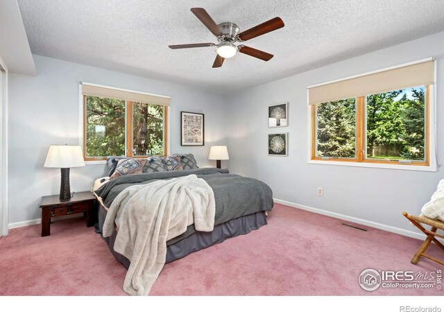 421 Camino Del Mundo Ft, Collins, CO 80524 - photo 13