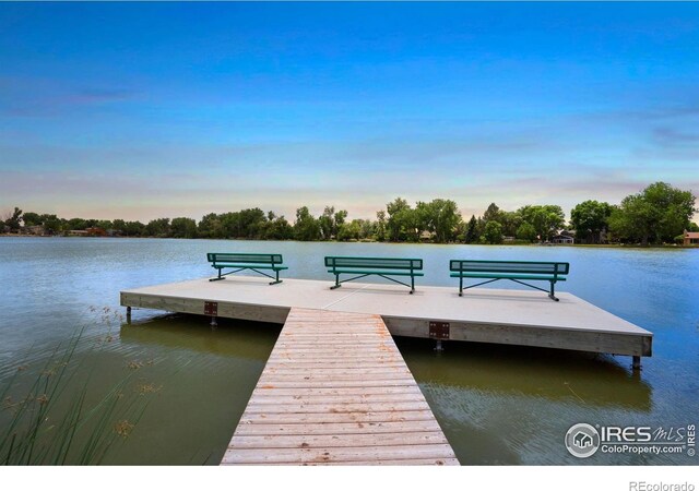 421 Camino Del Mundo Ft, Collins, CO 80524 - photo 36