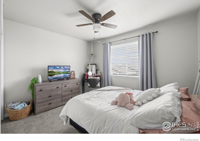 798 S Depot Dr, Milliken, CO 80543 - photo 23