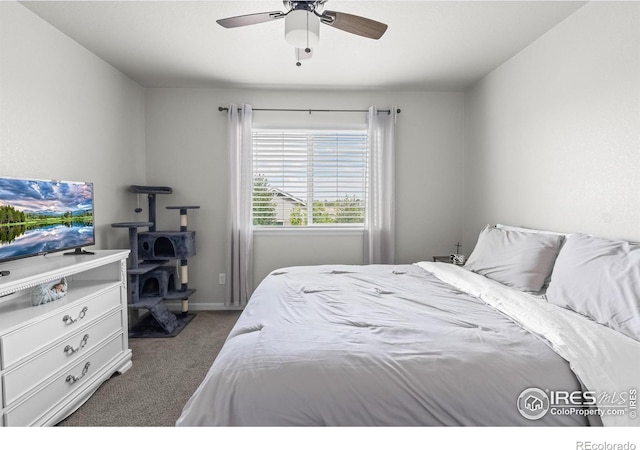 798 S Depot Dr, Milliken, CO 80543 - photo 26