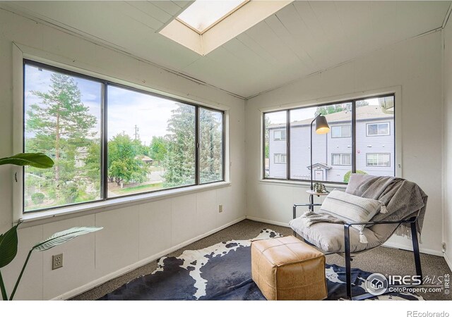 50 19th Ave Unit 34, Longmont, CO 80501 - photo 8